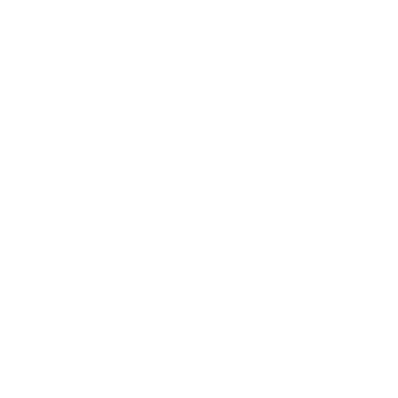 描述